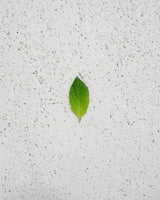 Peppermint Leaf- Helse