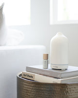 Living room home decor with stone scent diffuser and eucalyptus diffuser oil