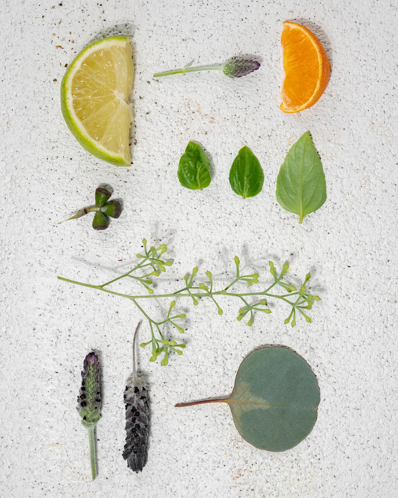 Citrus, Basil, Lavender, Eucalyptus, Bergamot, Amyris on a table